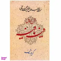 کتاب فیه ما فیه اثر کریم زمانی انتشارات معین