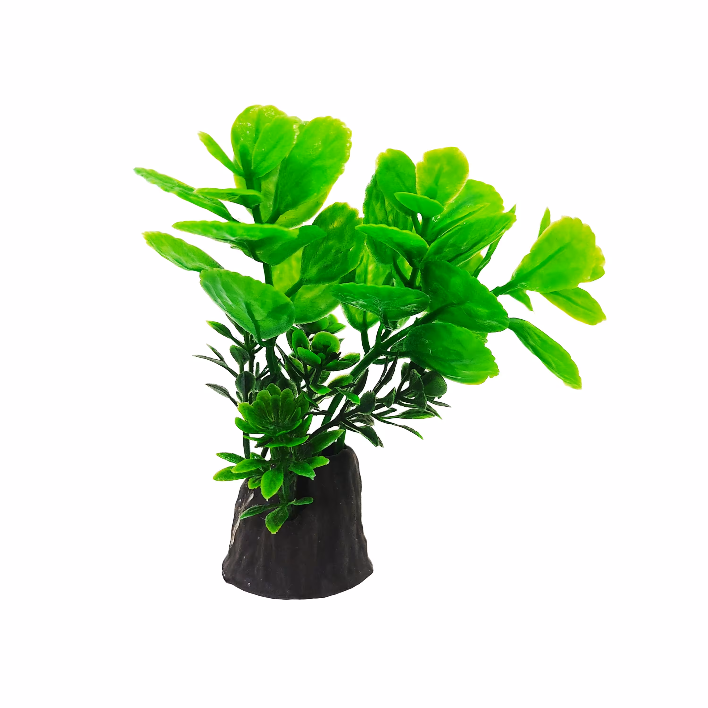 گیاه  مصنوعی 10 سانتی 