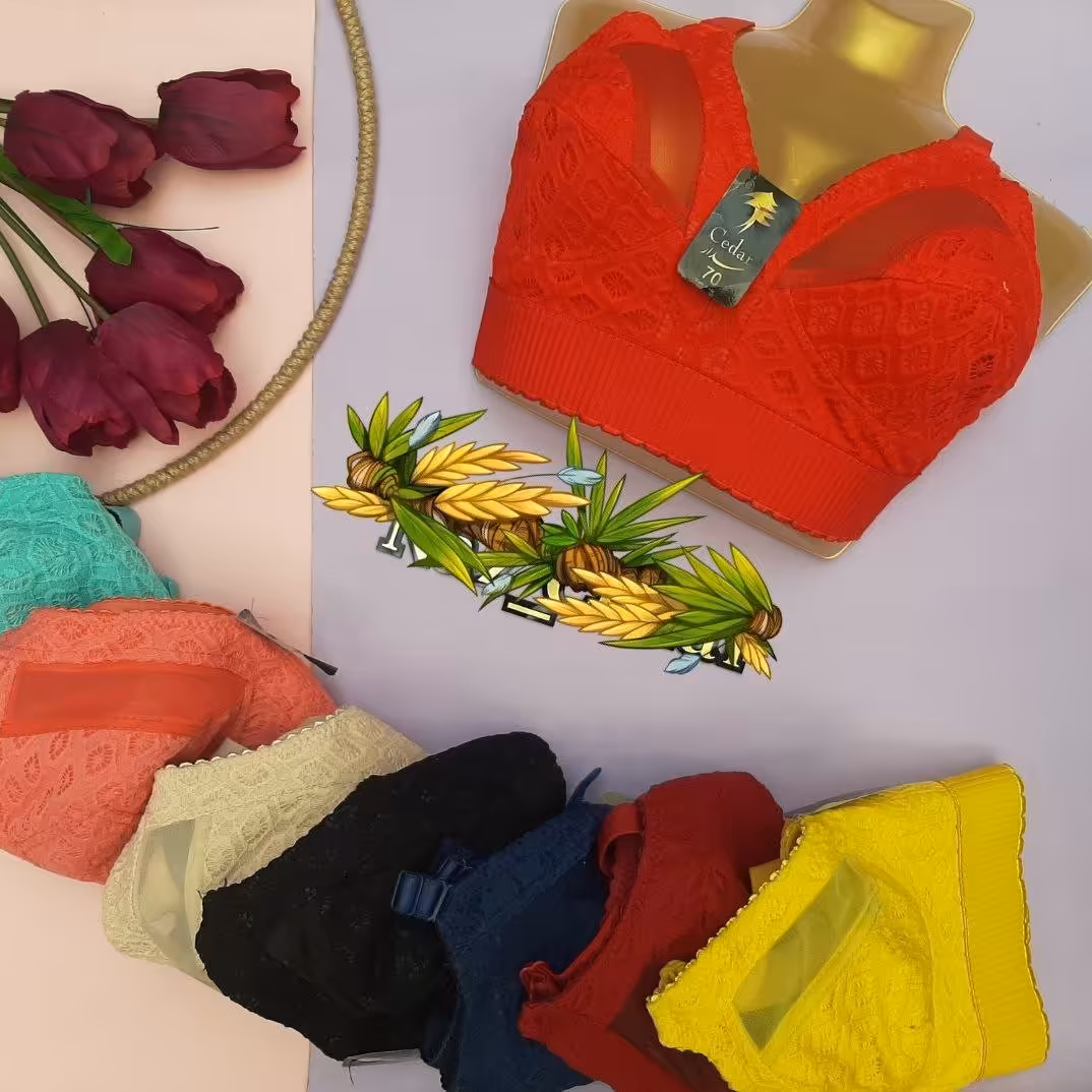 سوتین دانتل پروانه ای داخل تمام نخ حراجی