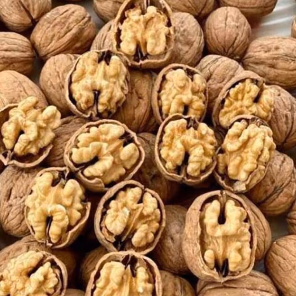 گردو پوست کاغذی امسالی