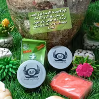 کرم گانودرما اگوستا