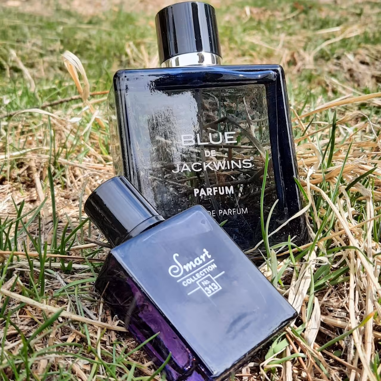 ادکلن بلوشنل 100 میل