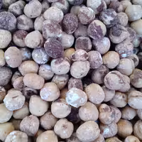 مغز فندق شور 250 گرمی