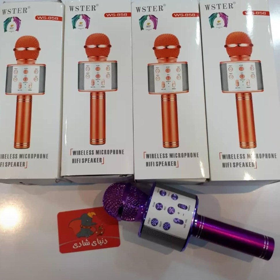 میکروفون شارژی 