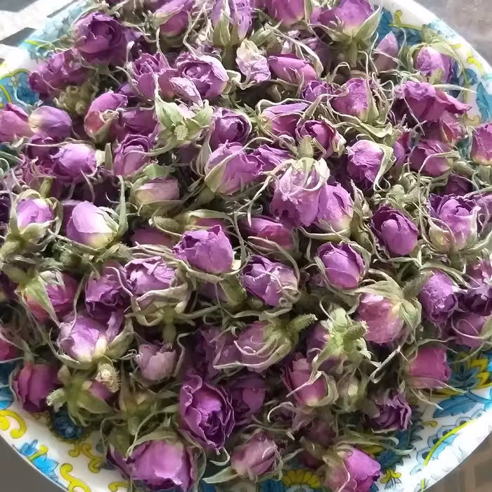 غنچه خشک گل محمدی
