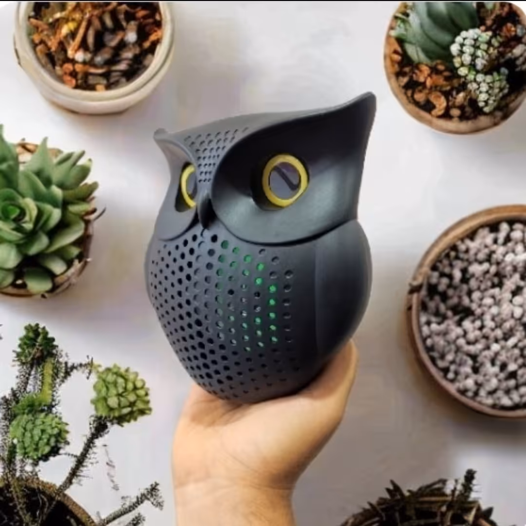 اسپیکر جغدی با کیفیت عالی دکوری ارسال رایگان  بلوتوثی اسپیکر فلش خور  اسپیکر شیک اسپیکر دکوری