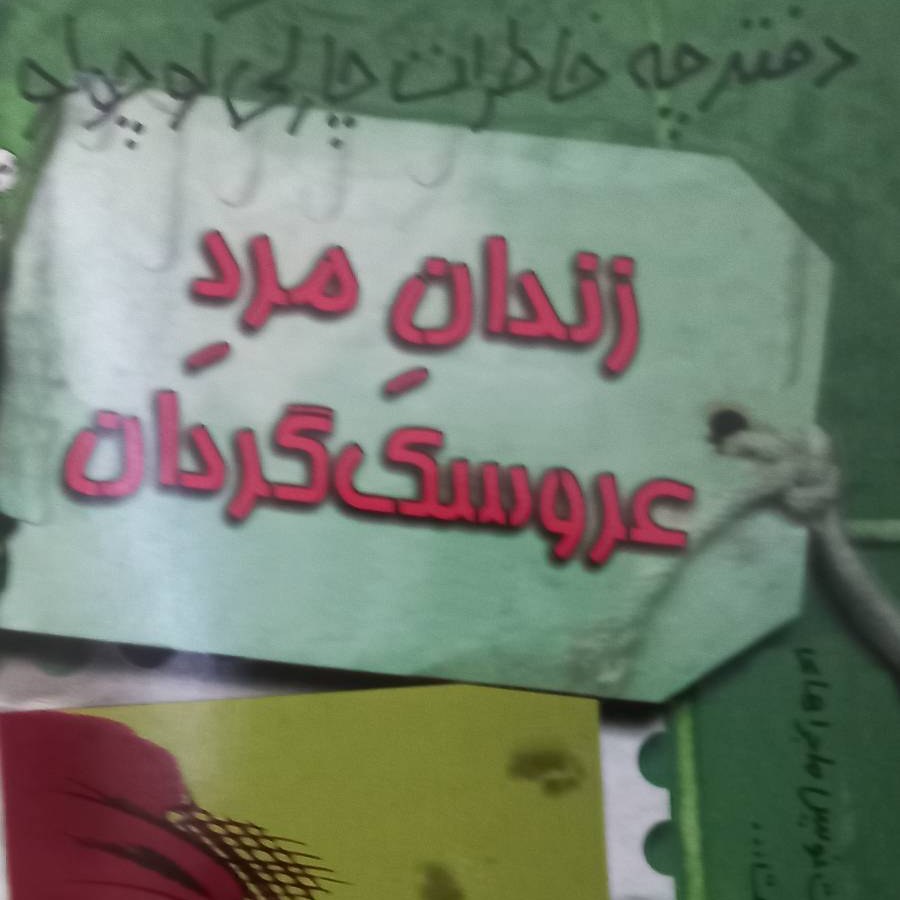کتاب زندان مرد عروسک گردان- دفترچه خاطرات چارلی کوچولو 3