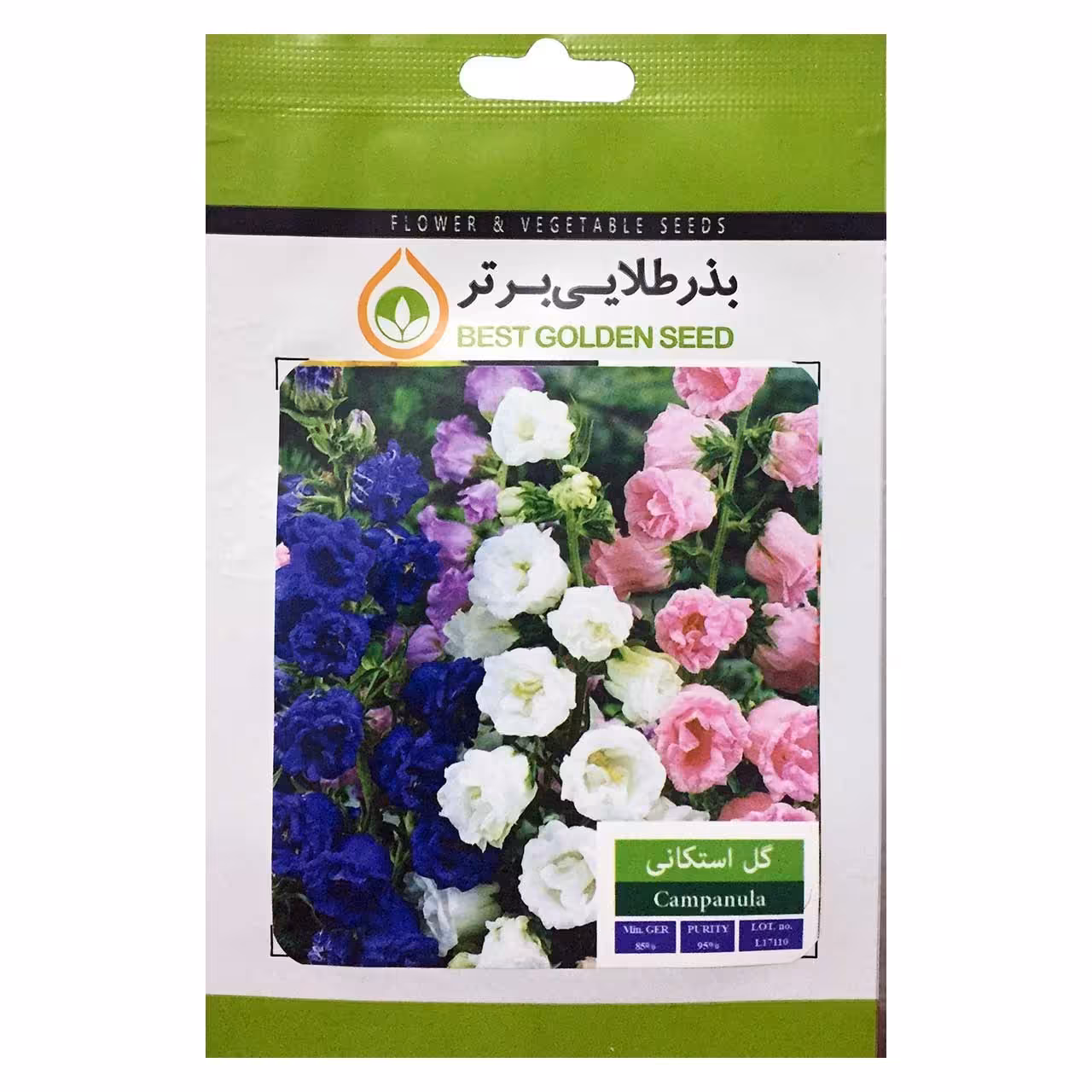 بذر گل استکانی هلندی بذر طلایی برتر کد BZT-05 