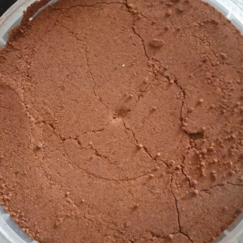 قهوه هسته خرما