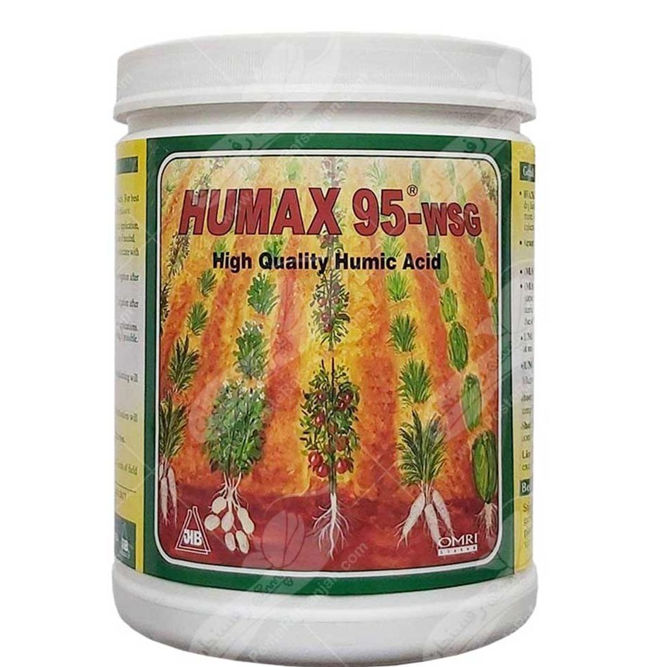 سرویس 31 پارچه نادیشیکو