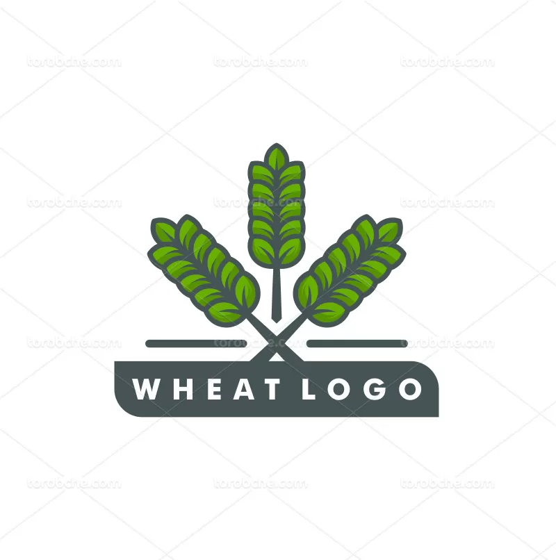 لوگو شاخه گندم رنگی | گرافیک با طعم تربچه