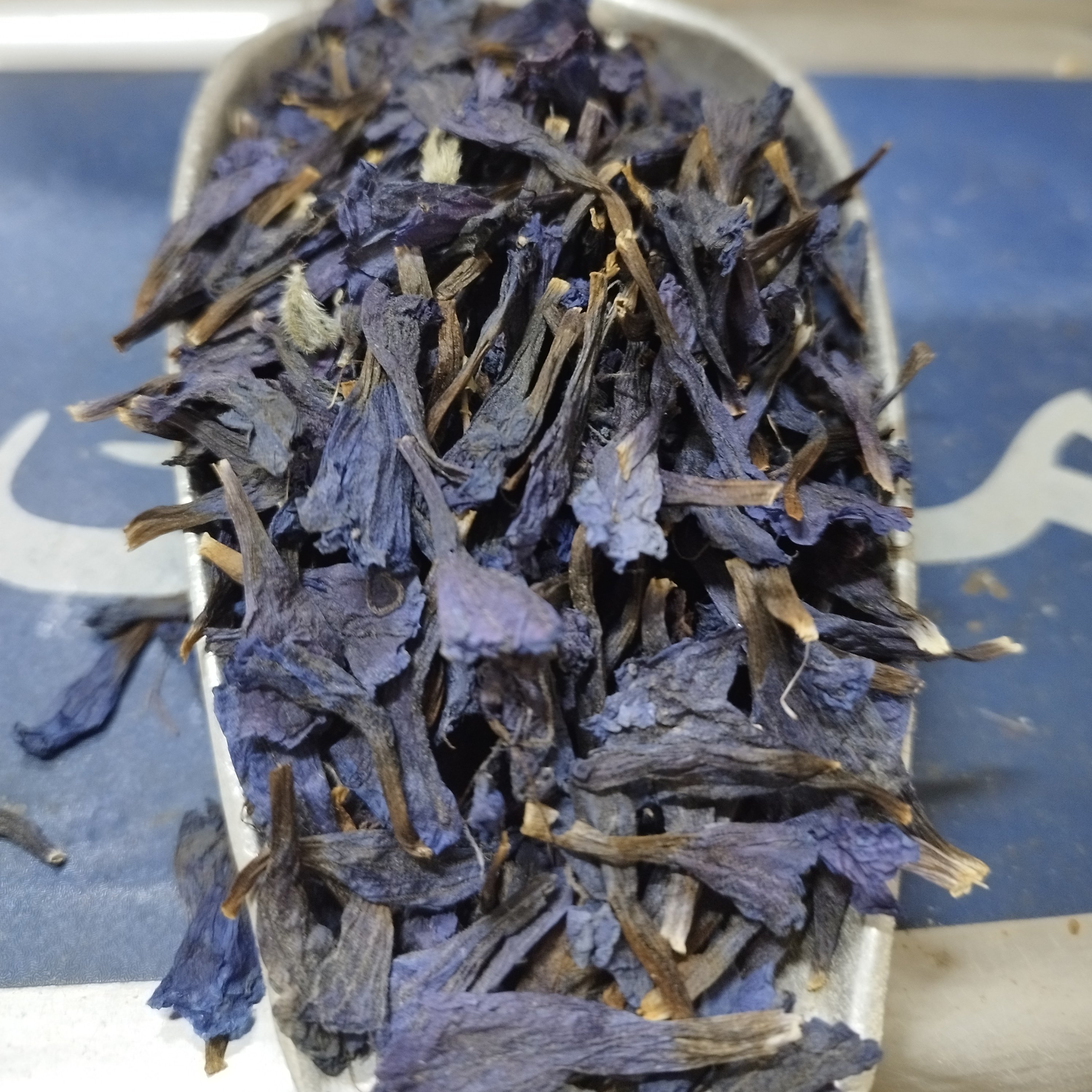 گل گاوزبان