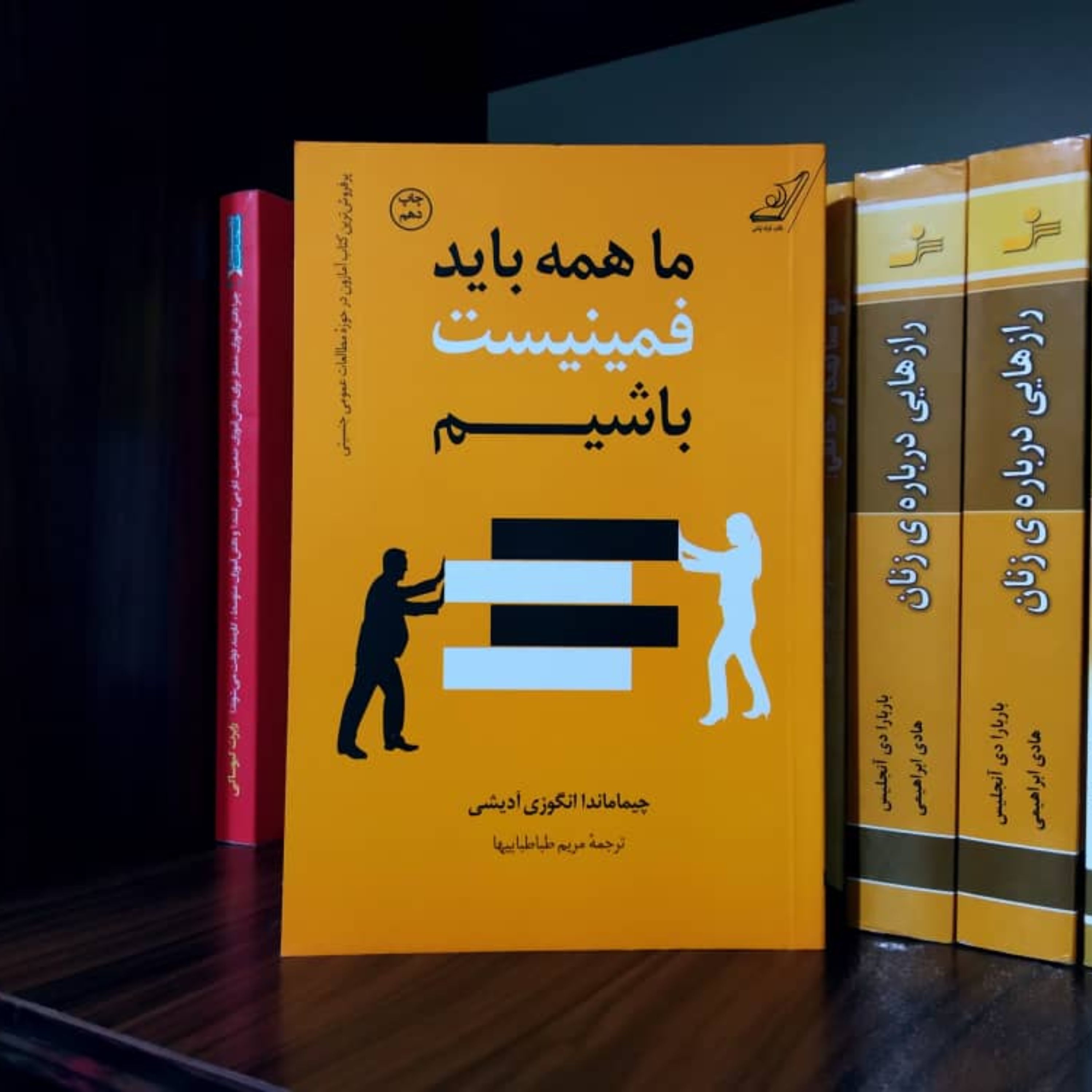 ما همه باید فمنیست باشیم چیماماندار انگوزی ادیشی 