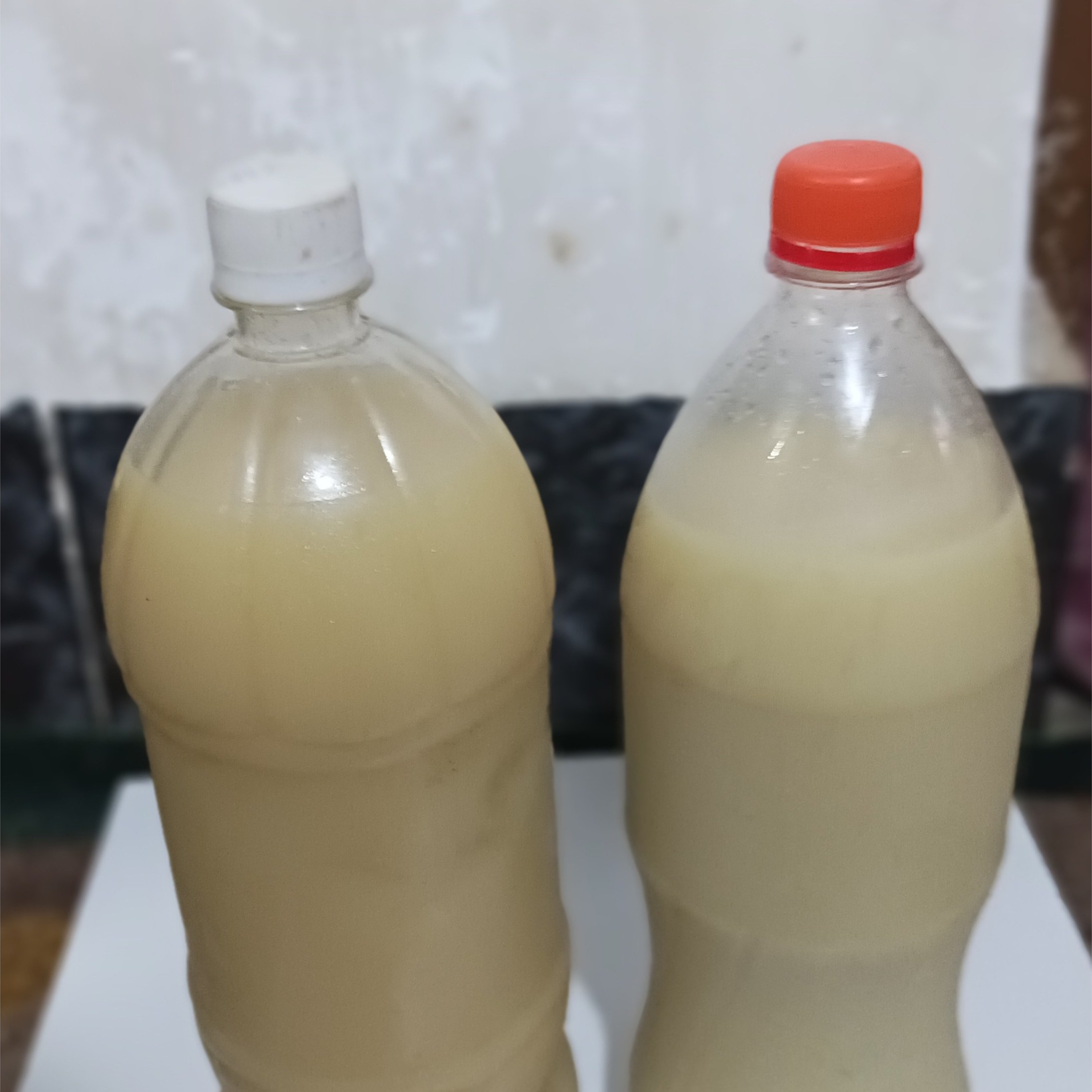 آبلیمو طبیعی تازه بوشهر 