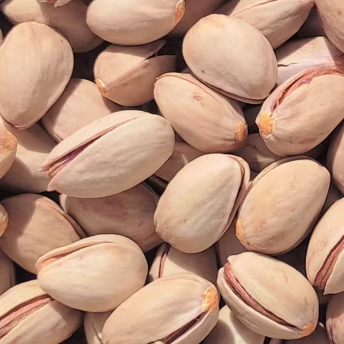 بذر  پسته احمدآباد (3عددی)