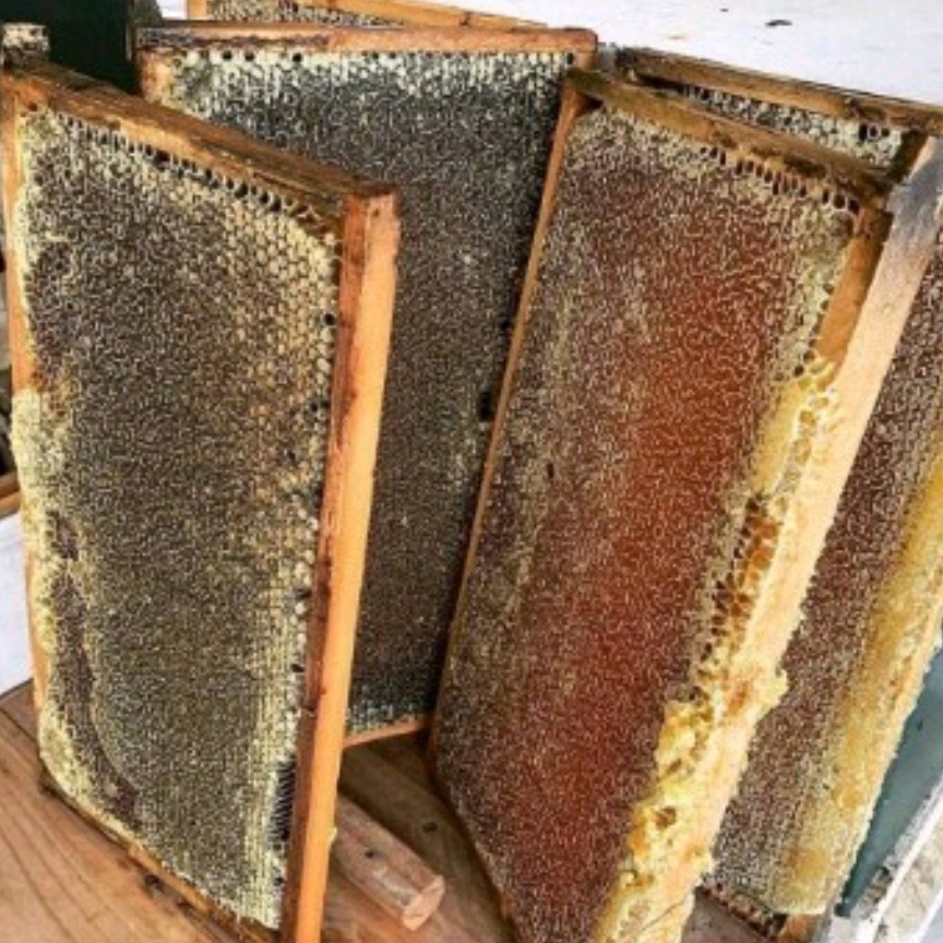عسل آویشن 2 کیلویی (نه نه کوکب)