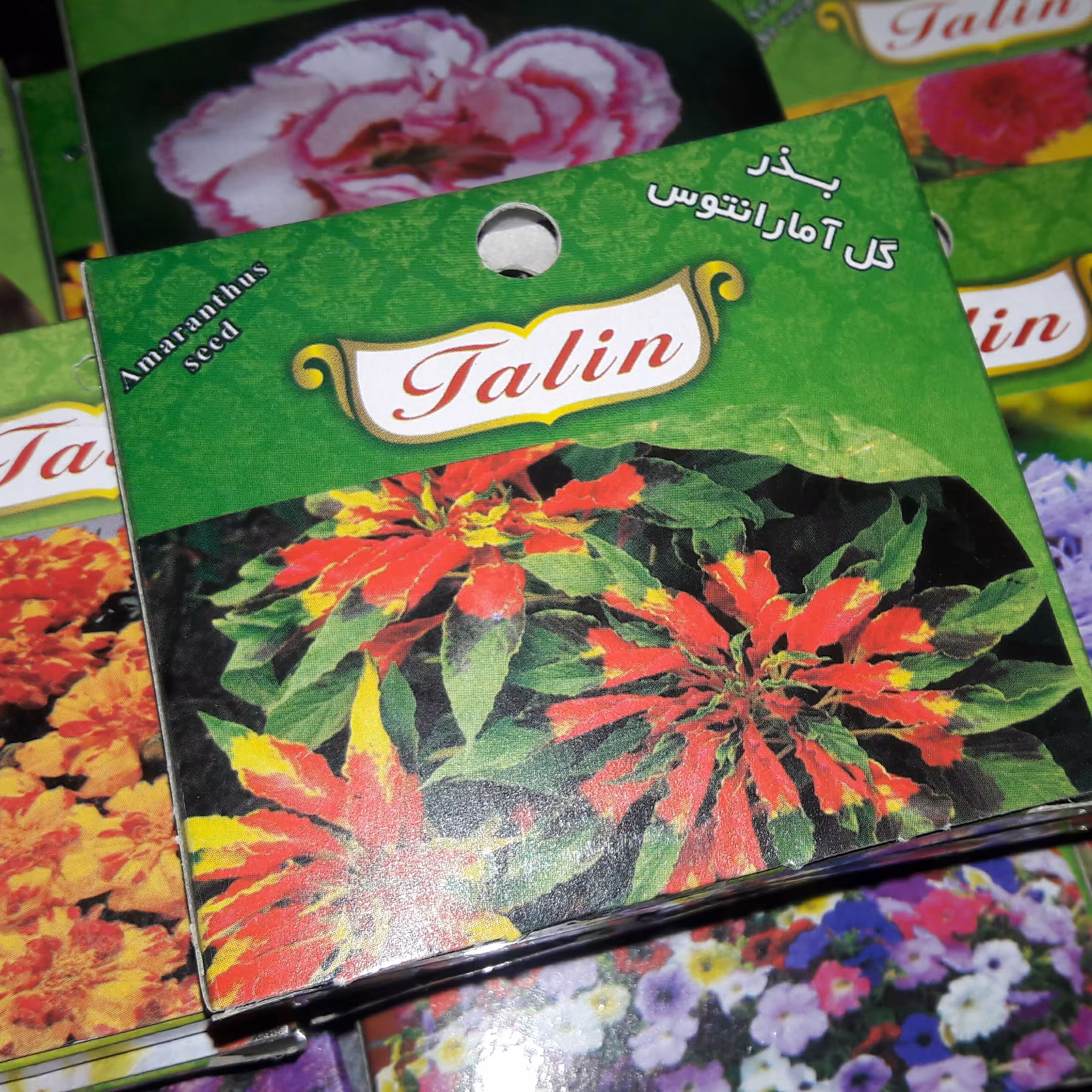 بذر گل آمارانتوس (خانواده تاج خروس)