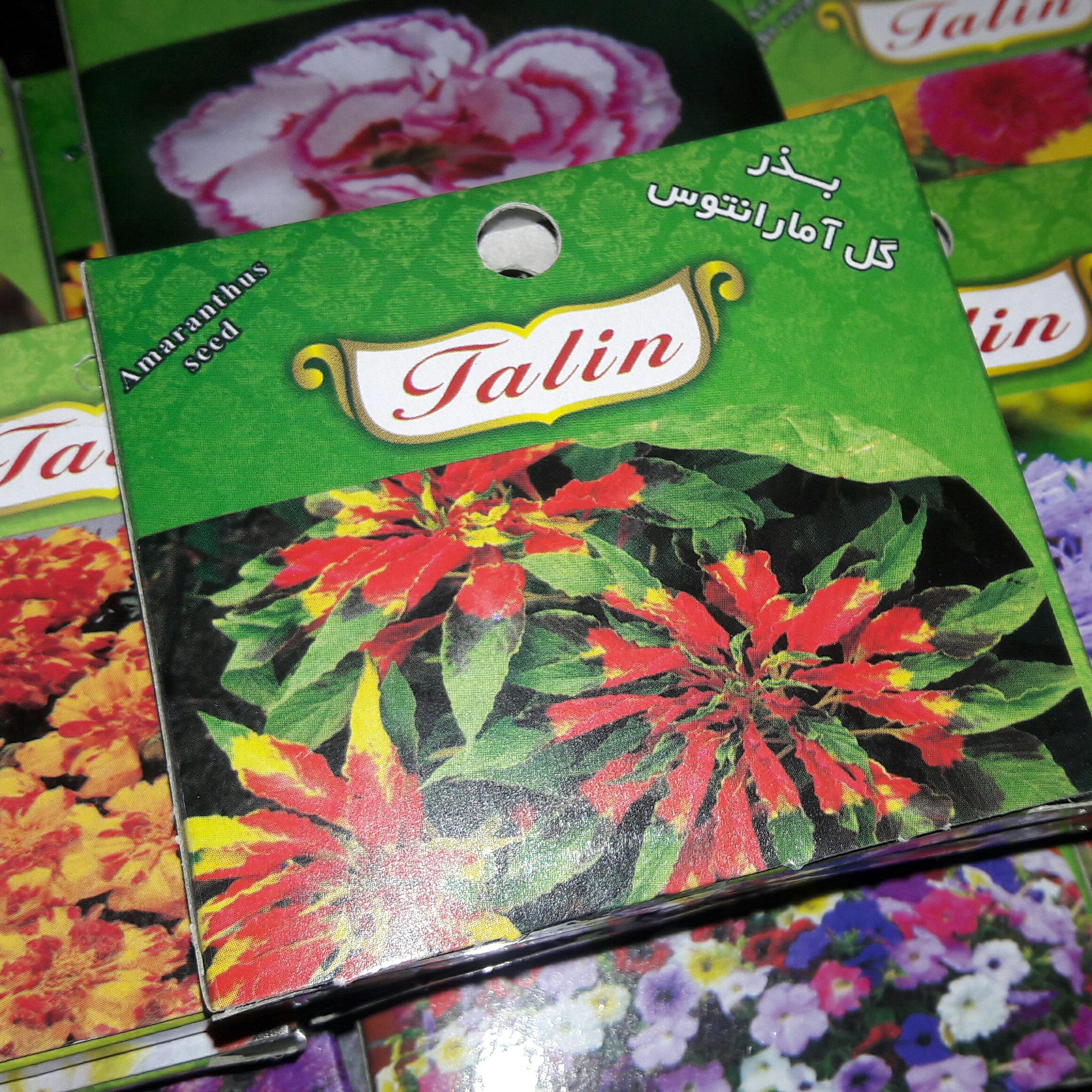 بذر گل آمارانتوس (خانواده تاج خروس)