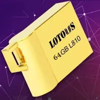 فلش مموری لوتوس مدل L810 ظرفیت 64 گیگابایت