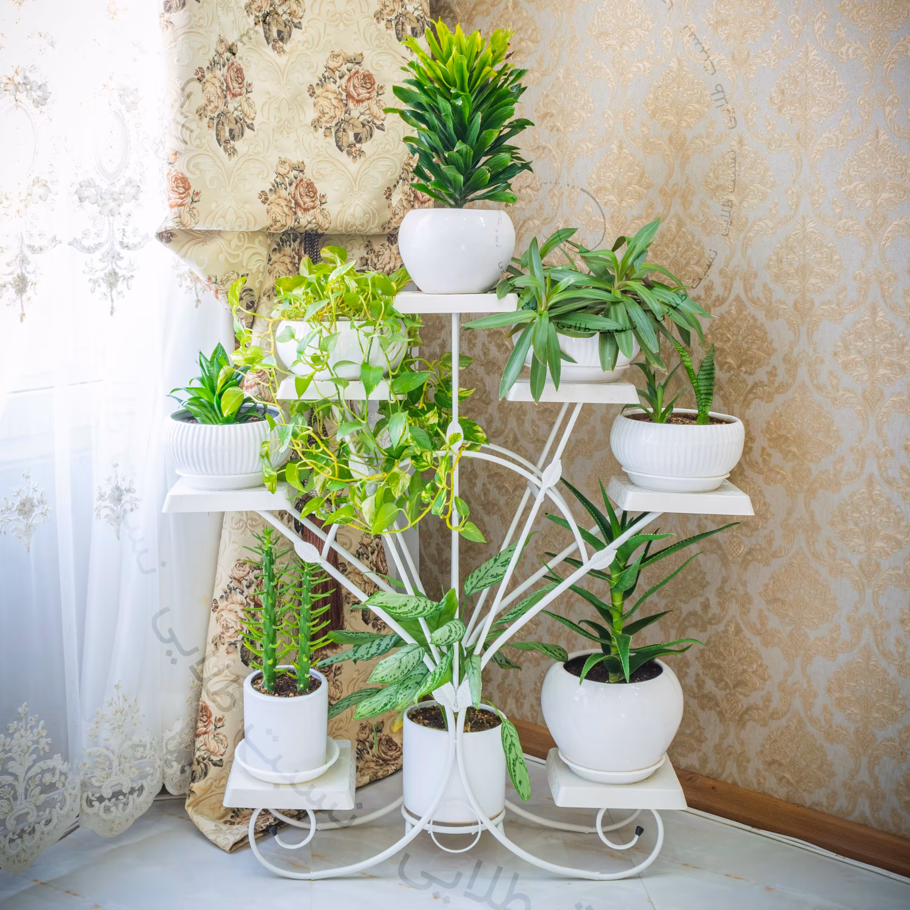 استند گلدان دم طاووسی 8 عددی مونتاژی سفید