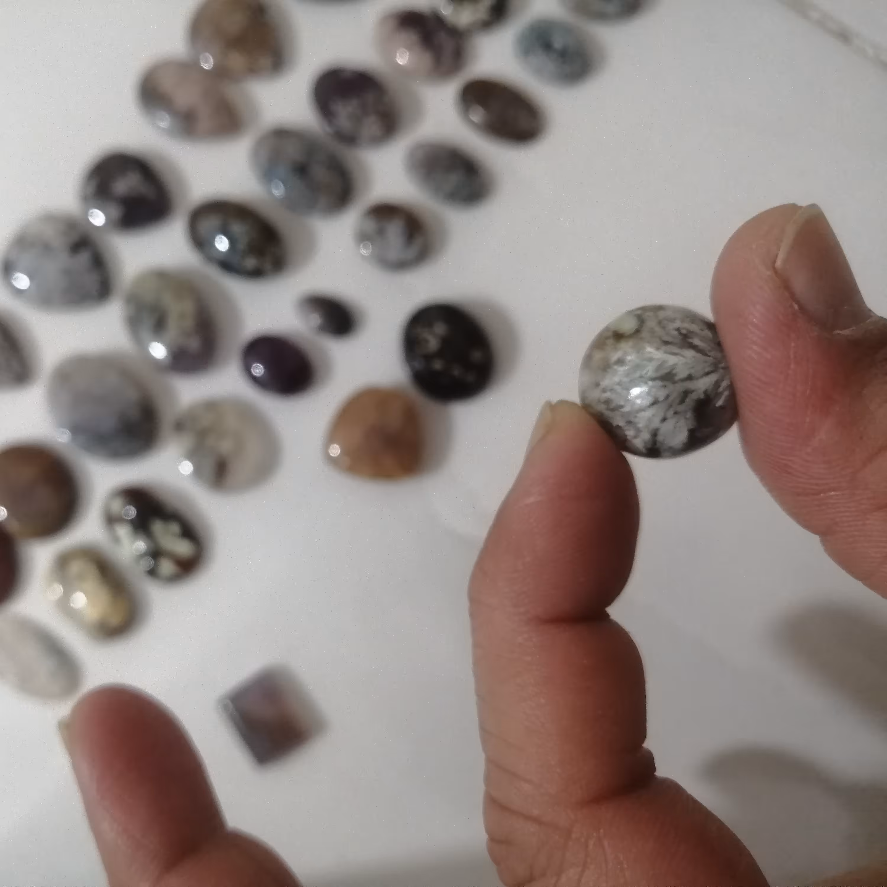 سنگ  زیبا شجر معدنی