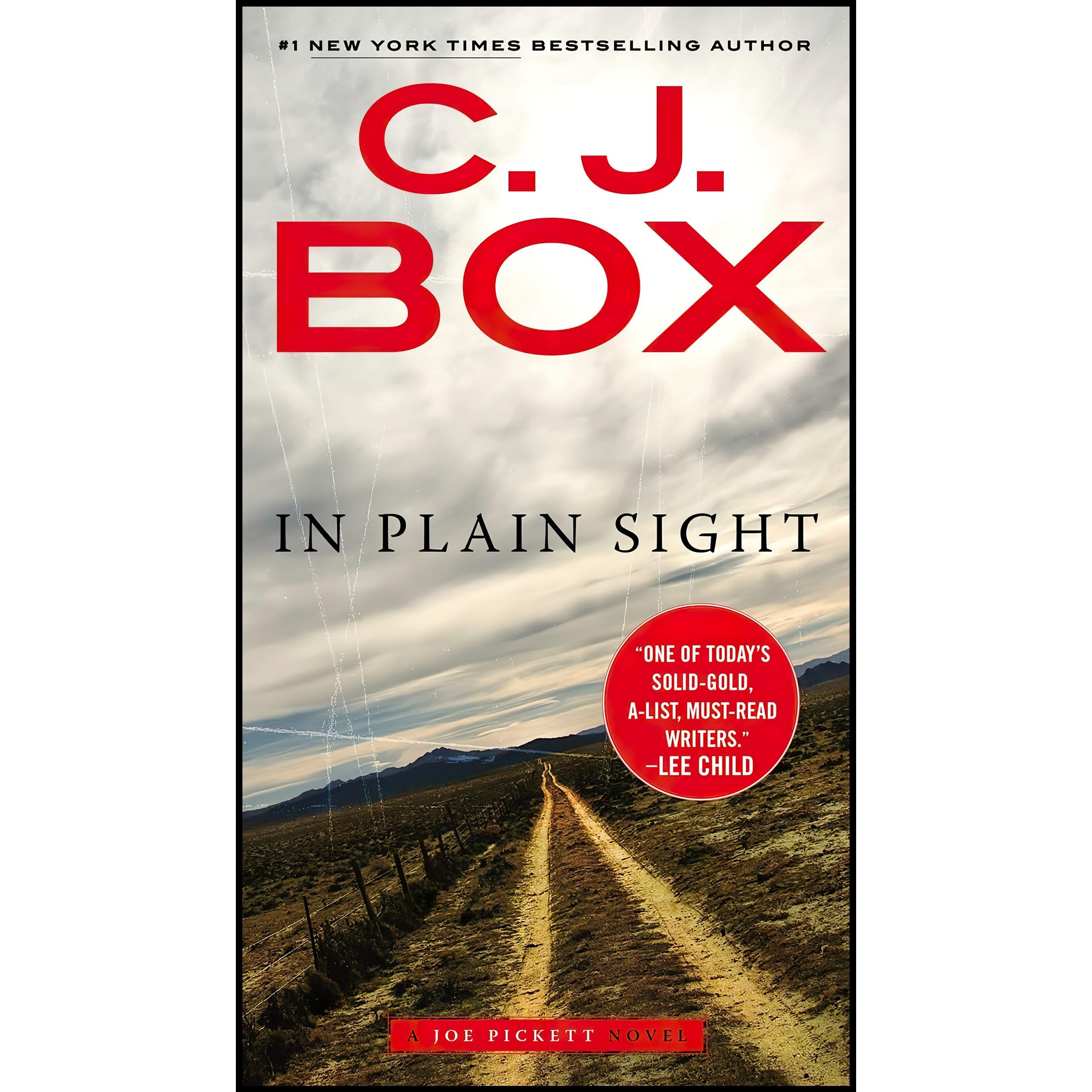 کتاب زبان اصلی In Plain Sight A Joe Pickett Novel اثر C J Box