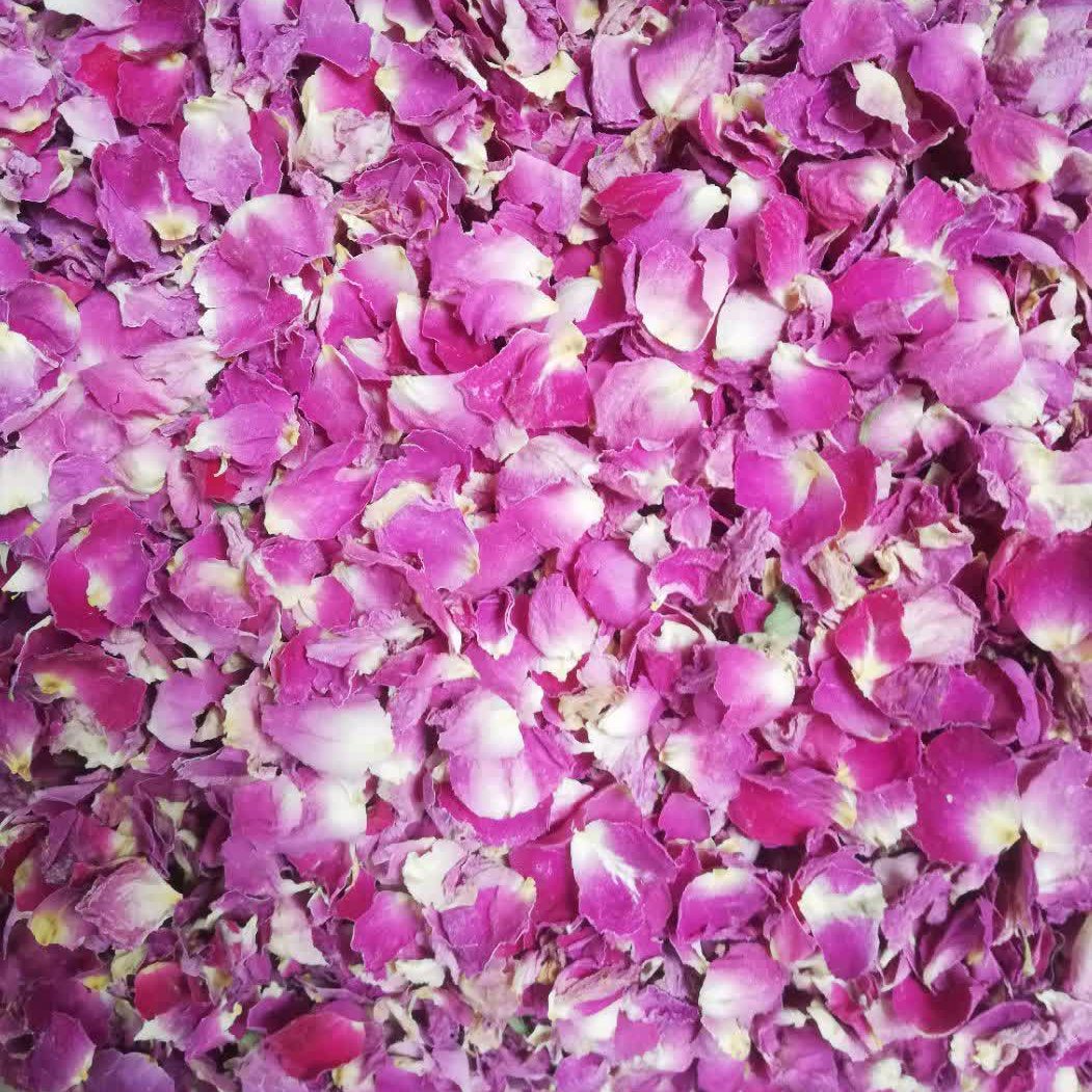 برگ گل محمدی