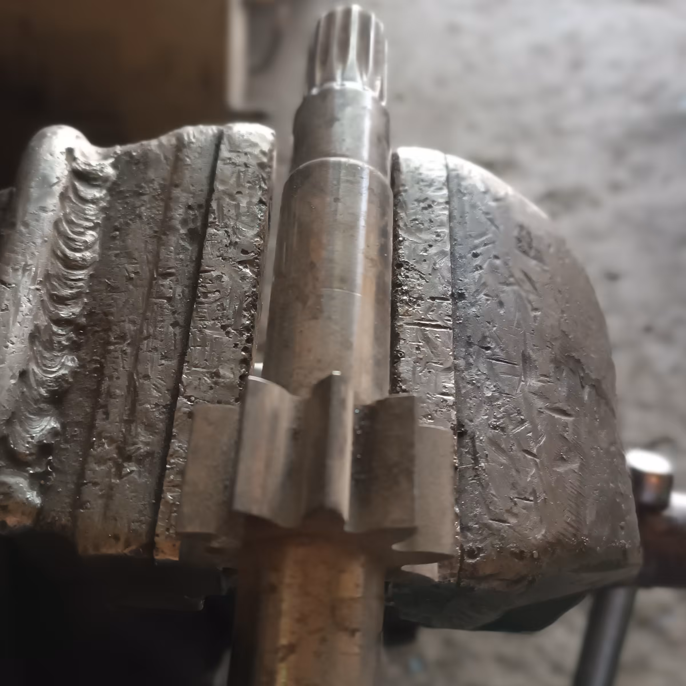 شافت هزار خاری در انواع مختلف