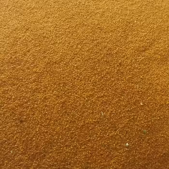 خاکشیر بسته (200 گرمی) تمیز و اعلا کیفیت عالی اقتصادی تازه و امسالی