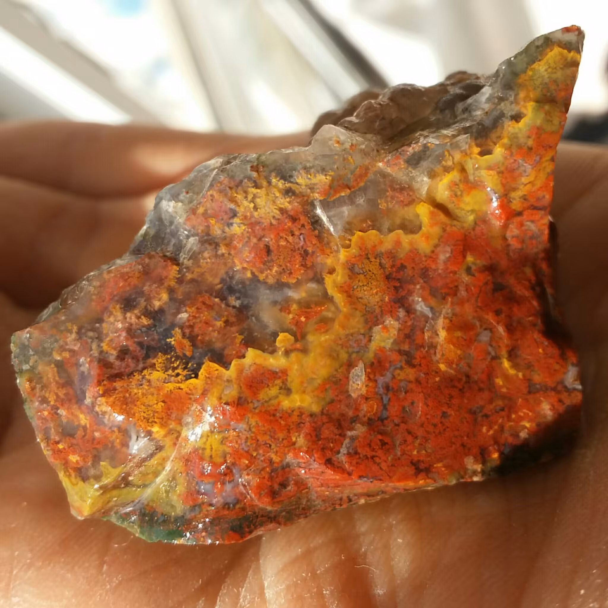 سنگ راف شجر منظره کمیاب محشر 100 در 100 طبیعی شاااهکار خلقت بی نظییییر دیدنی