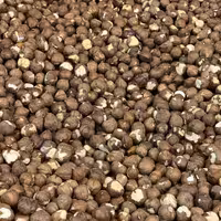 مغز فندوق خام ممتاز