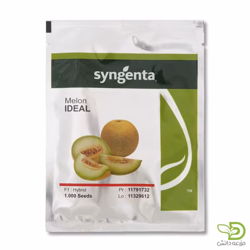بذر خربزه گالیا ایده آل سینجنتا