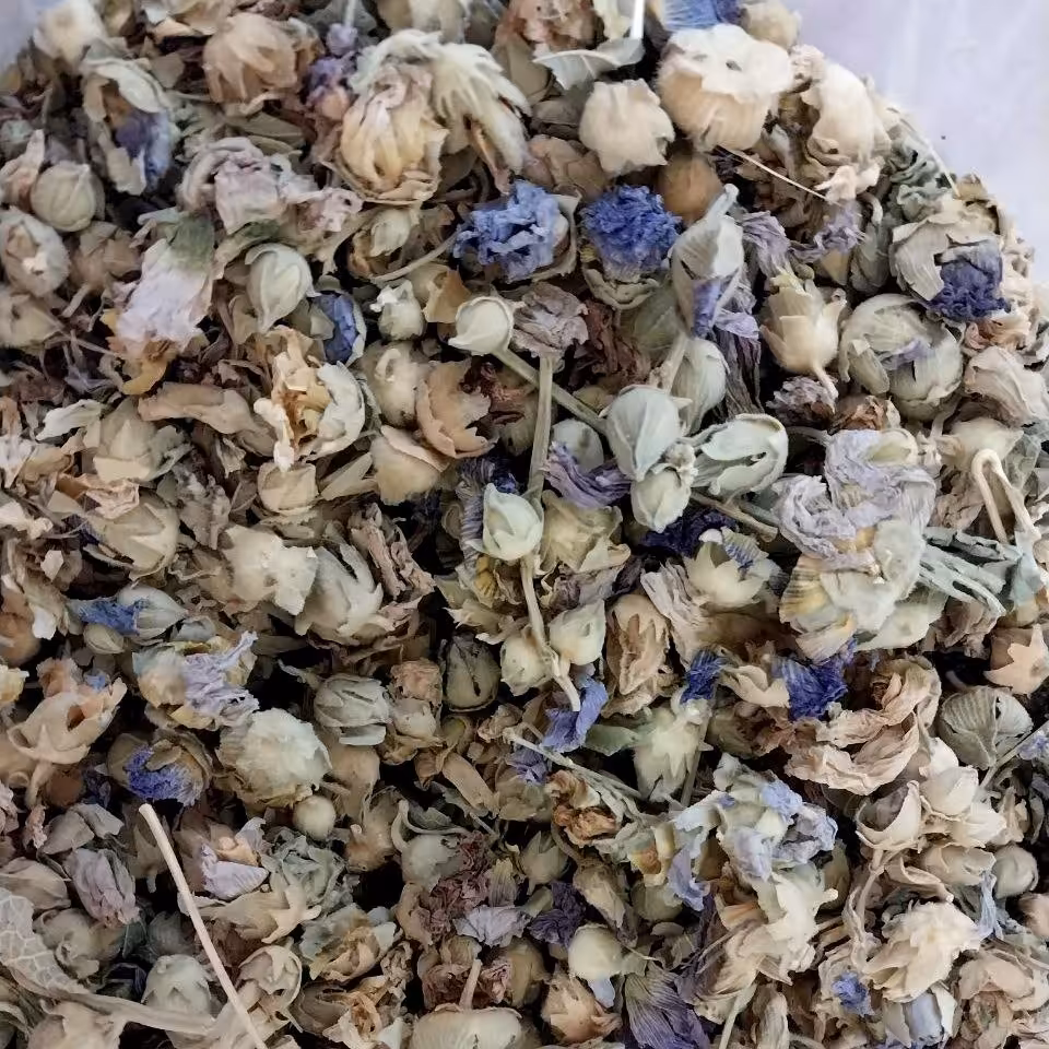 گل ختمی