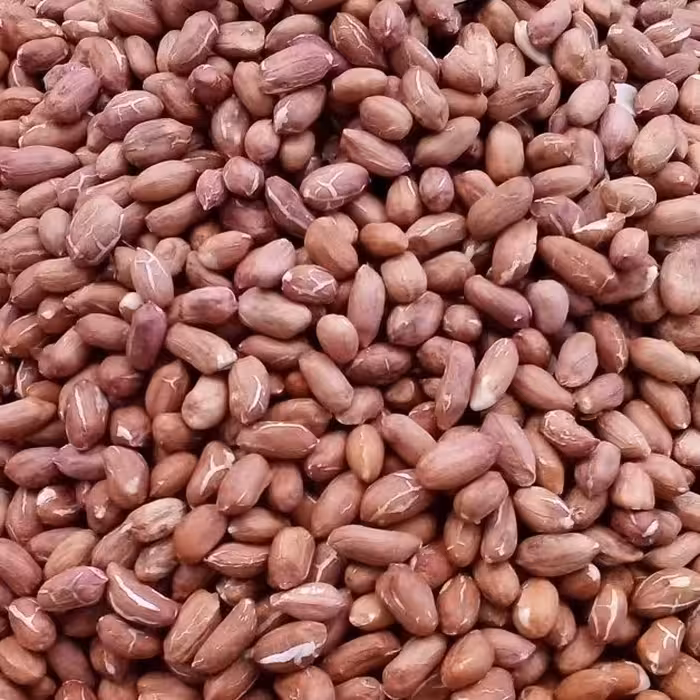 بادام زمینی خام خارجی (250گرمی)