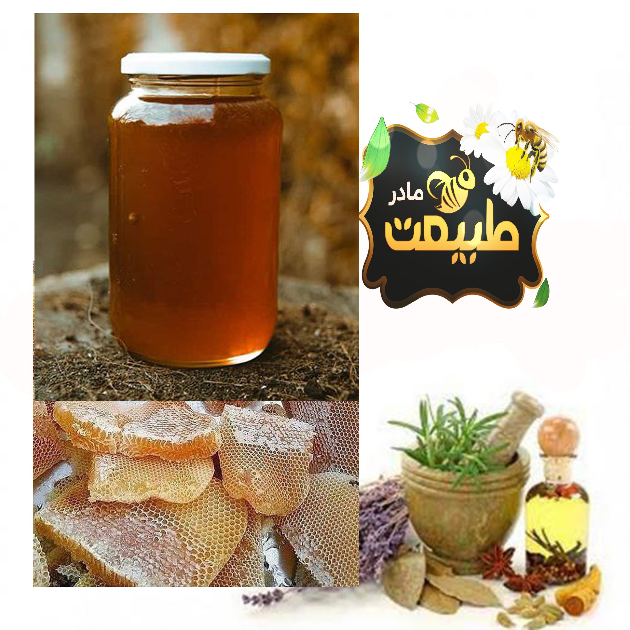 عسل خالص و ممتاز چهل گیاه 500 گرمی محصولی از کوه های زاگرس