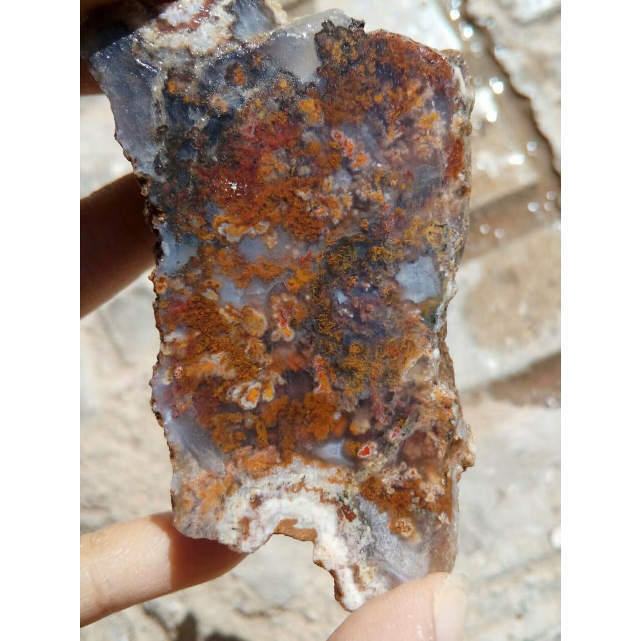 راف کم نظیر و بسیار زیبای شجر هفت رنگ مختص تراش نگین های بسیار زیبا و کلکسیون