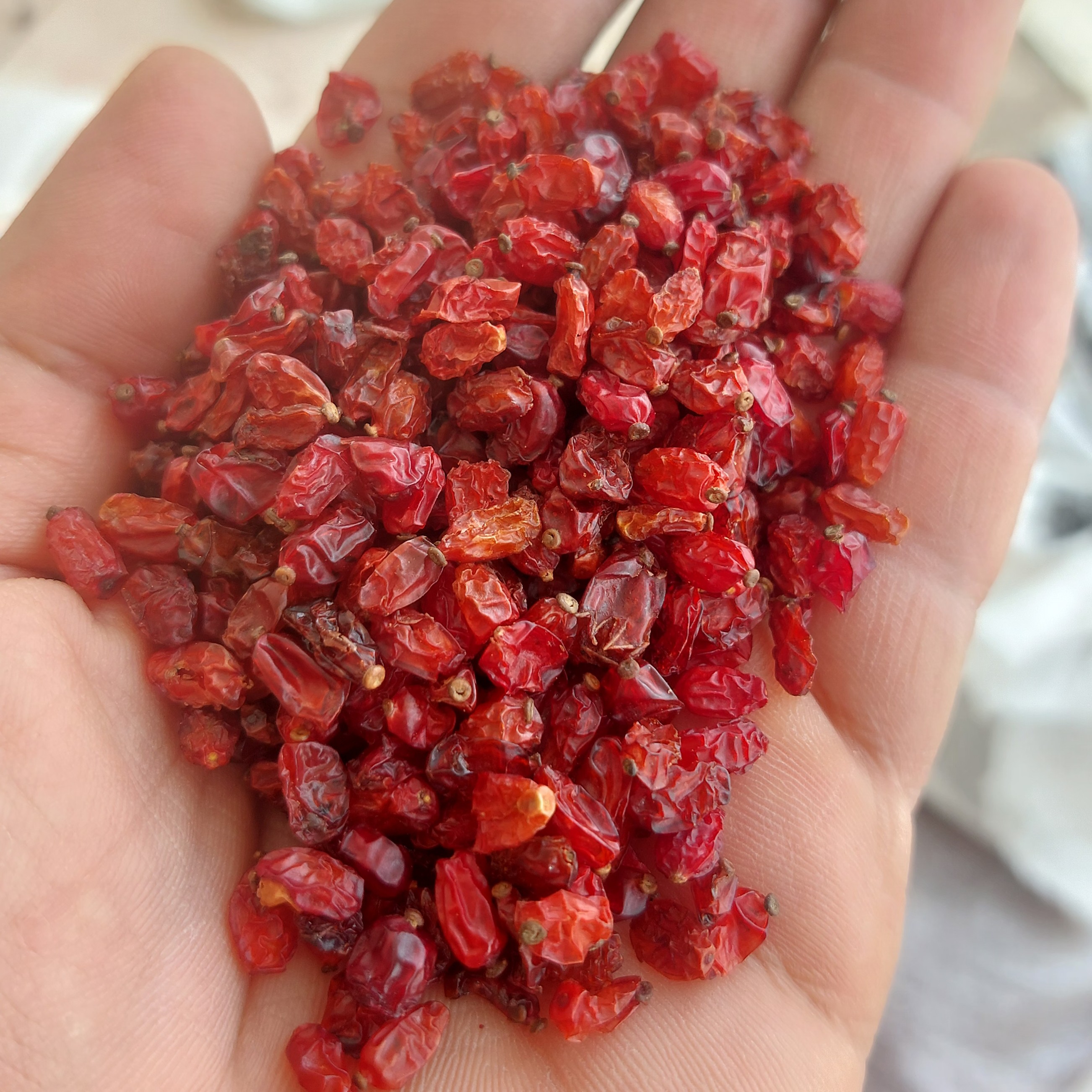 زرشک اناری قیمت مناسب بسته بندی  کارتنی کارتن10 کیلویی