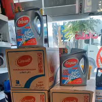 ضد یخ کاسپین 4 لیتری