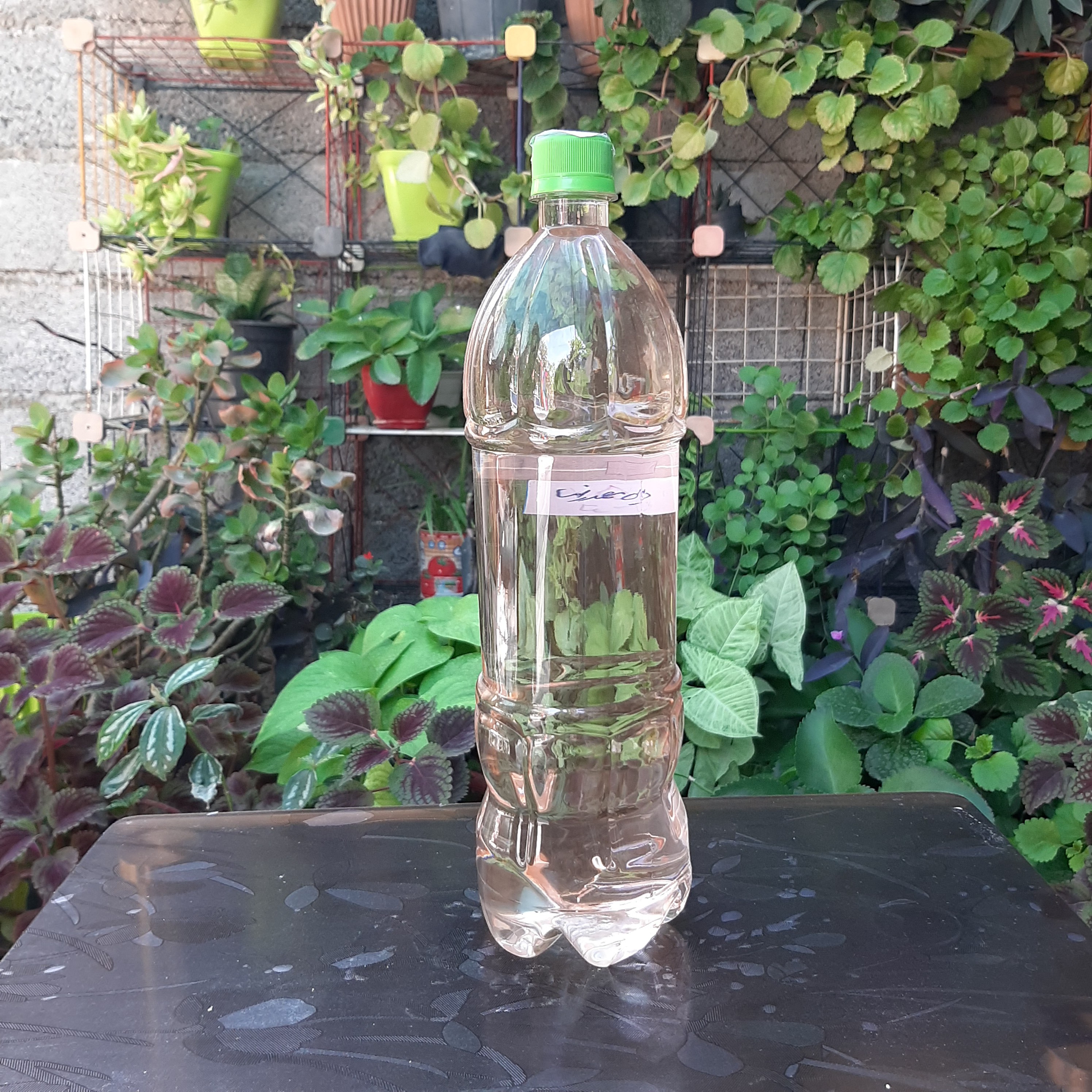 عرق آویشن اعلا سنگین یک لیتر و نیمی 