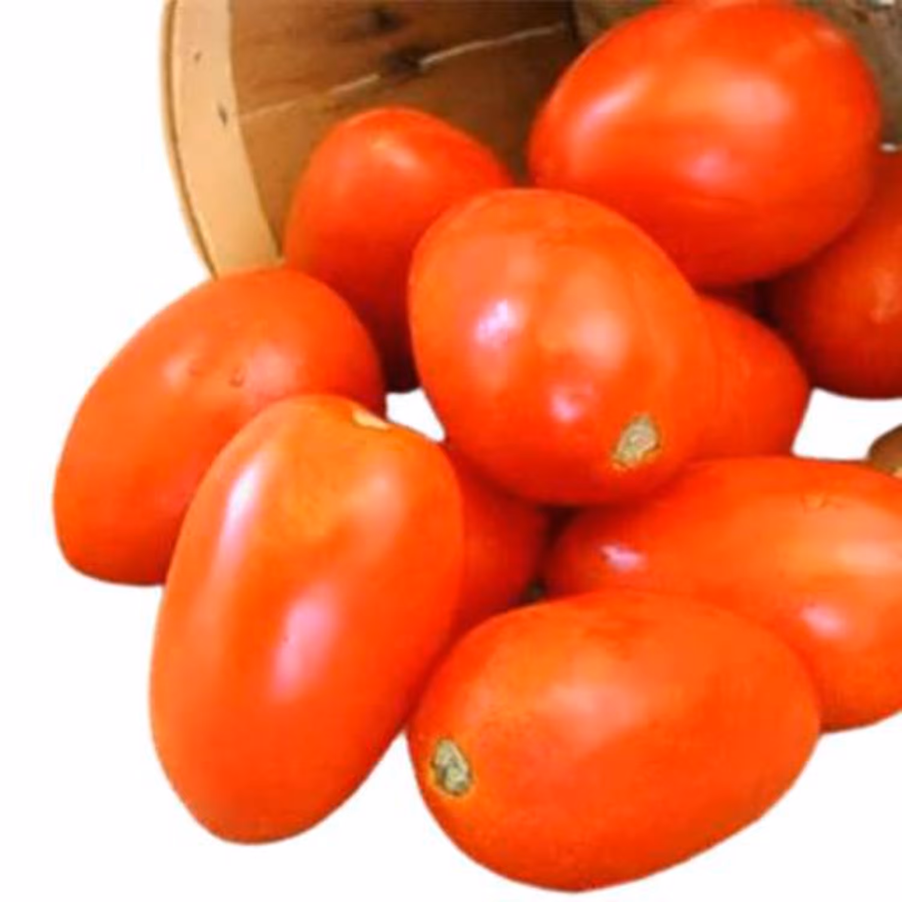 بذر گوجه فرنگی سوپر چف 1 گرمی
