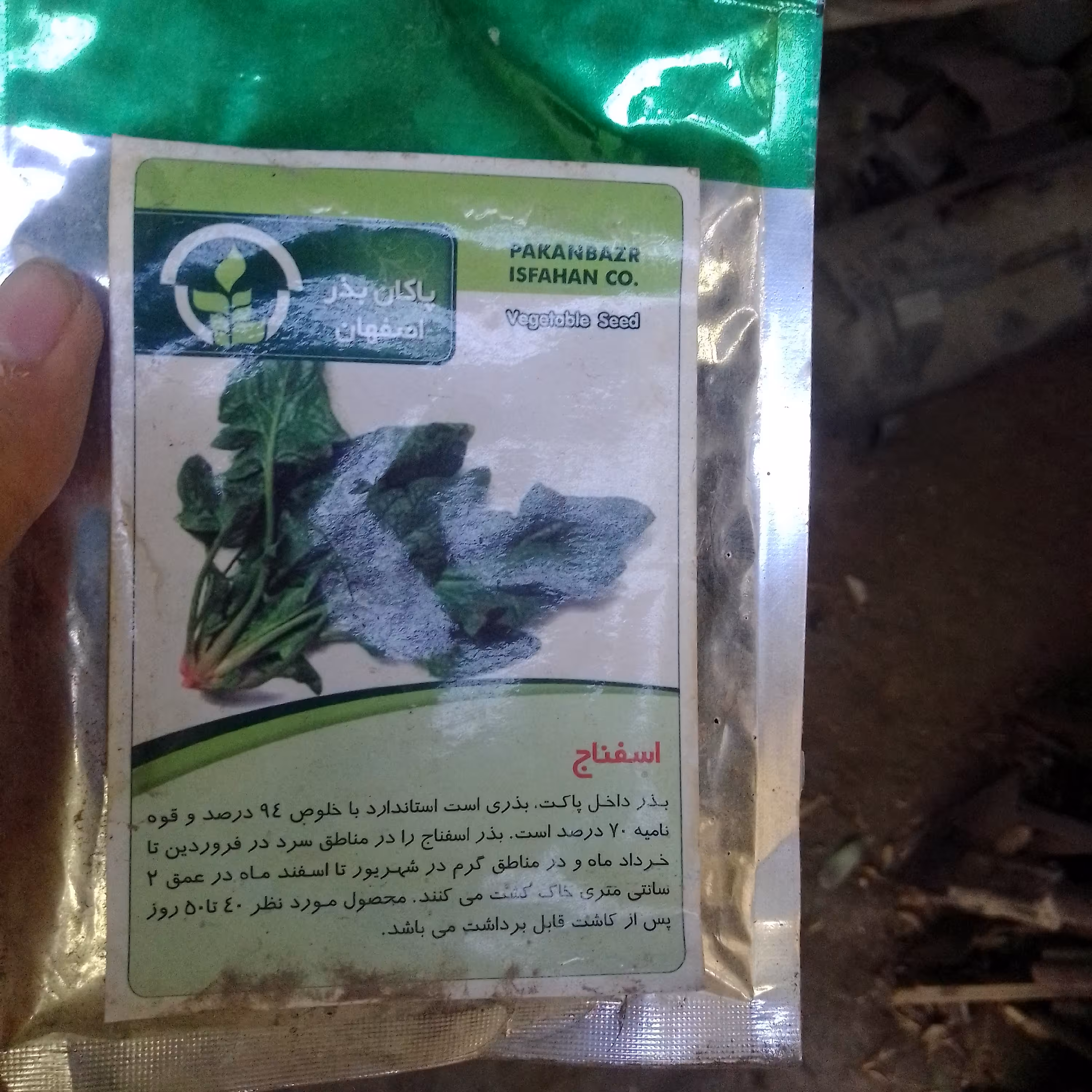 بذر اسفناج ایتالیایی