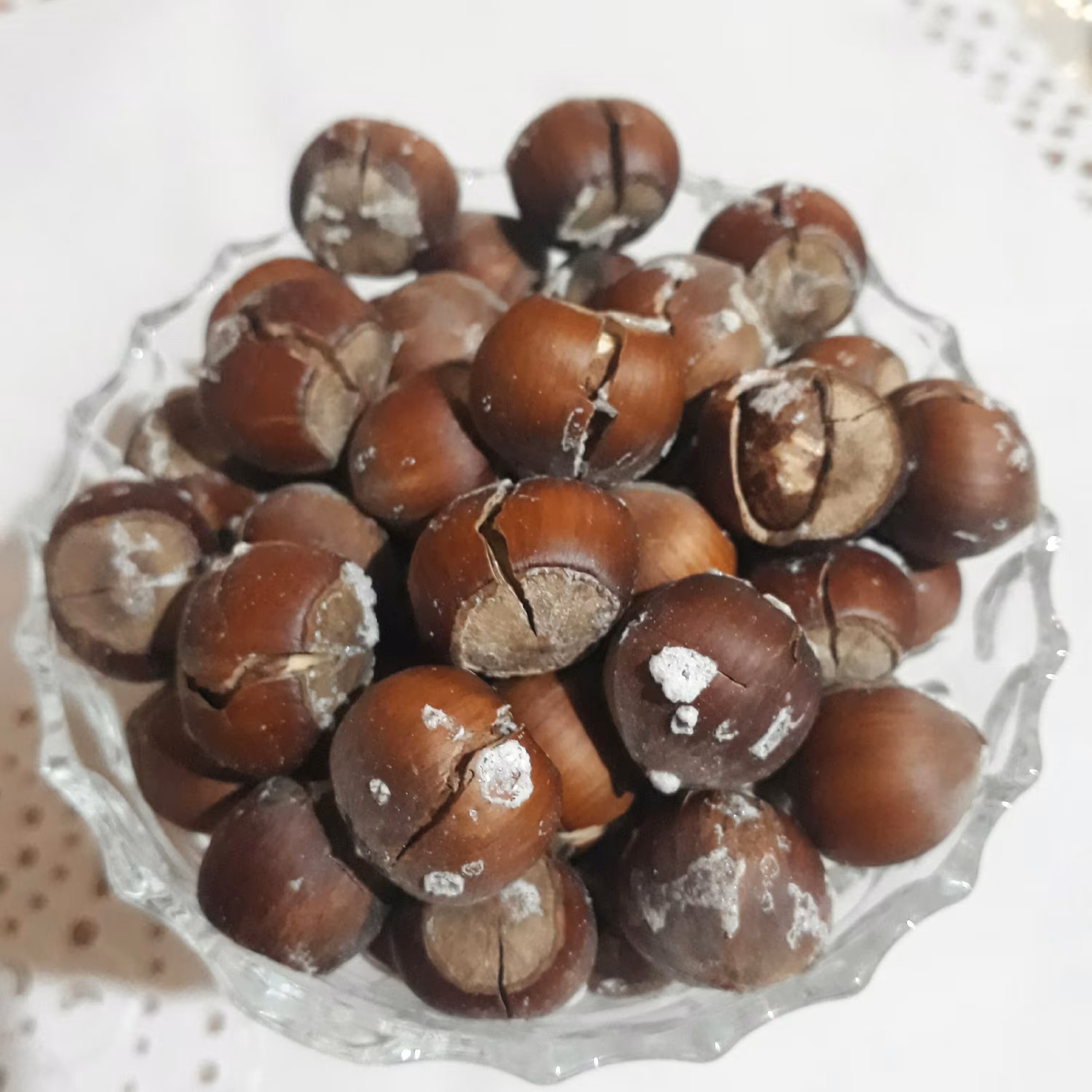 فندوق  بوداده متوسط  ییلاق اشکور  گیلان   