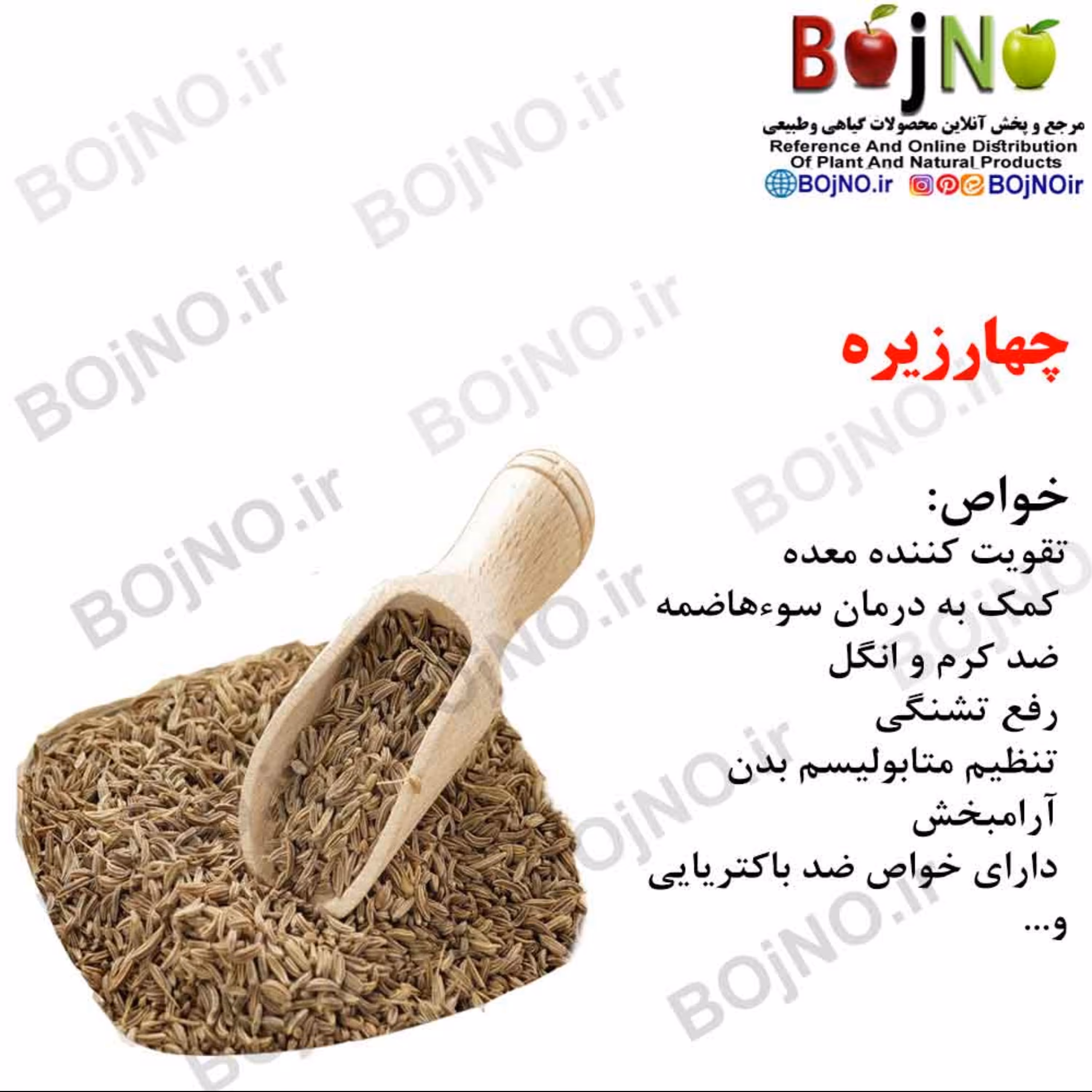 چهارزیره(بسته 50گرمی)