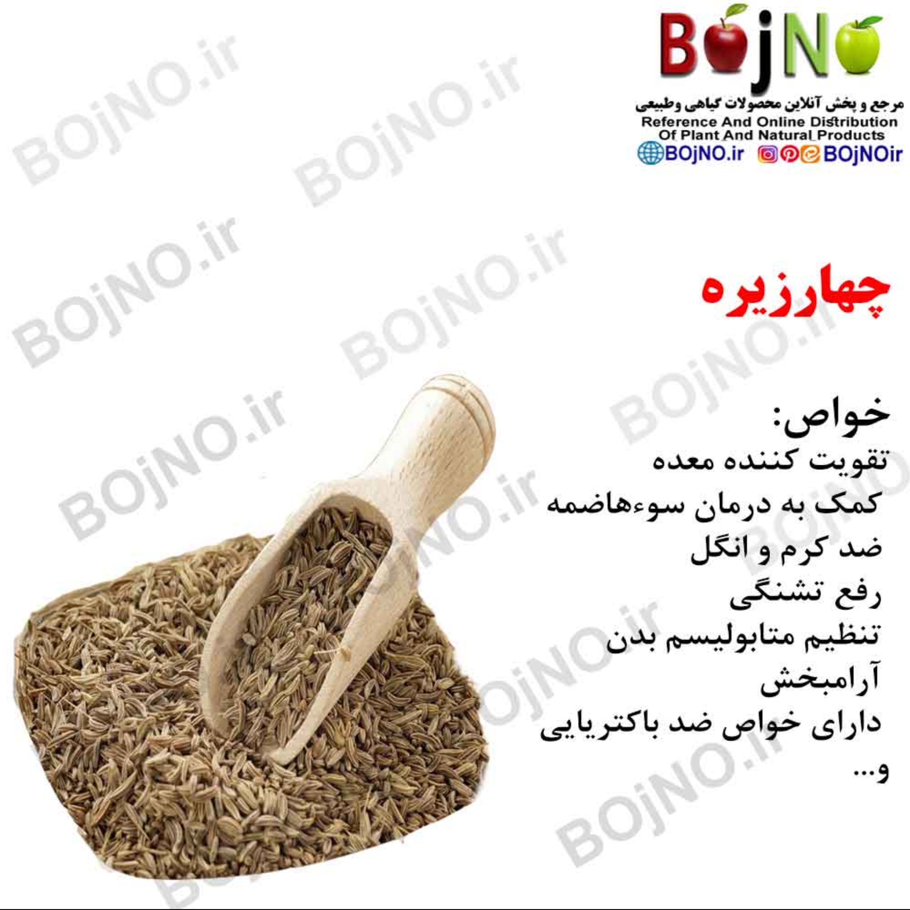 چهارزیره(بسته 50گرمی)