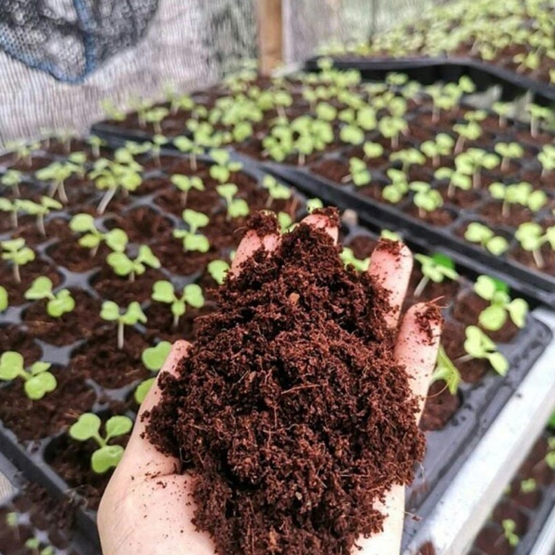 کوکوپیت سریلانکا بسته بندی (1000 گرمی).