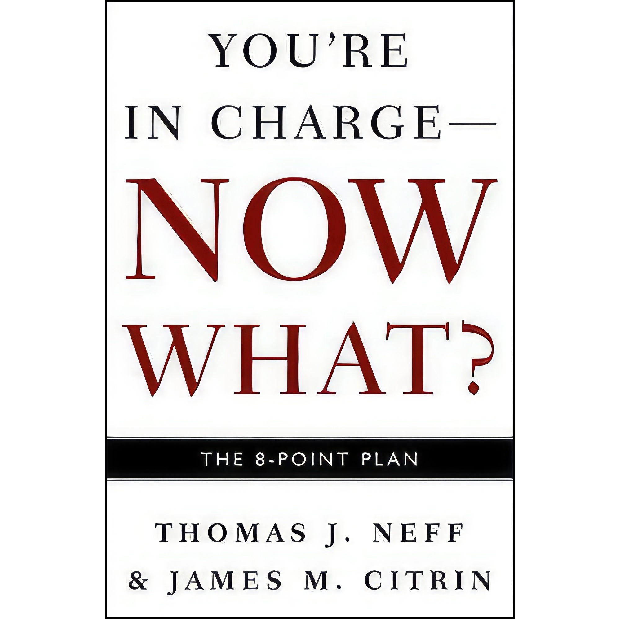 کتاب زبان اصلی Youre in ChargeNow What اثر Thomas J Neff and James M Citrin