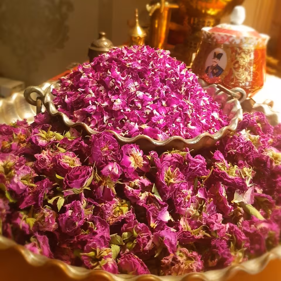 گلبرگ خشک گل محمدی (500گرم) سایه خشک درجه ممتاز  خرید مستقیم بدون واسطه