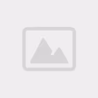 مکانیزم کلید تایمر پهن بژ شایلین | قیمت | نت‌ران