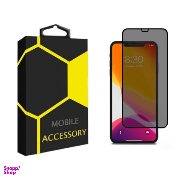 محافظ صفحه نمایش گوشی موبایل مدل Privacy مناسب اپل iPhone 12 Pro Max