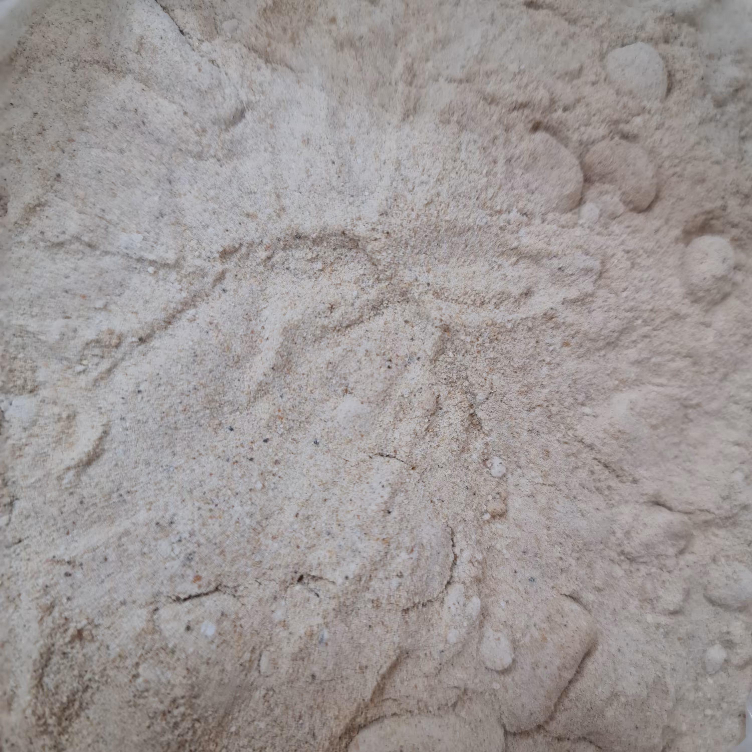 پودر پیاز 1 کیلویی